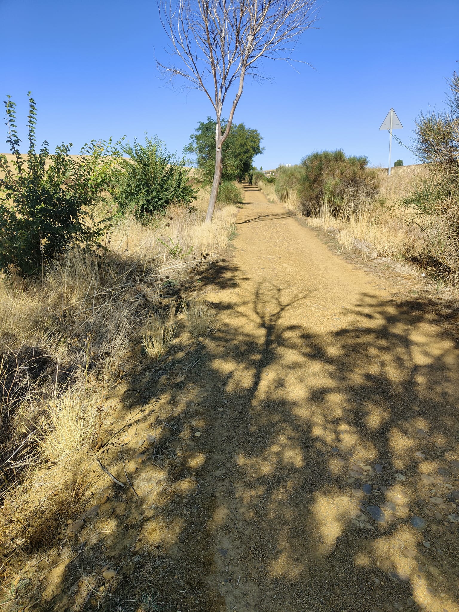 Día 17. De Carrión de los Condes a Terradillos de los Templarios.