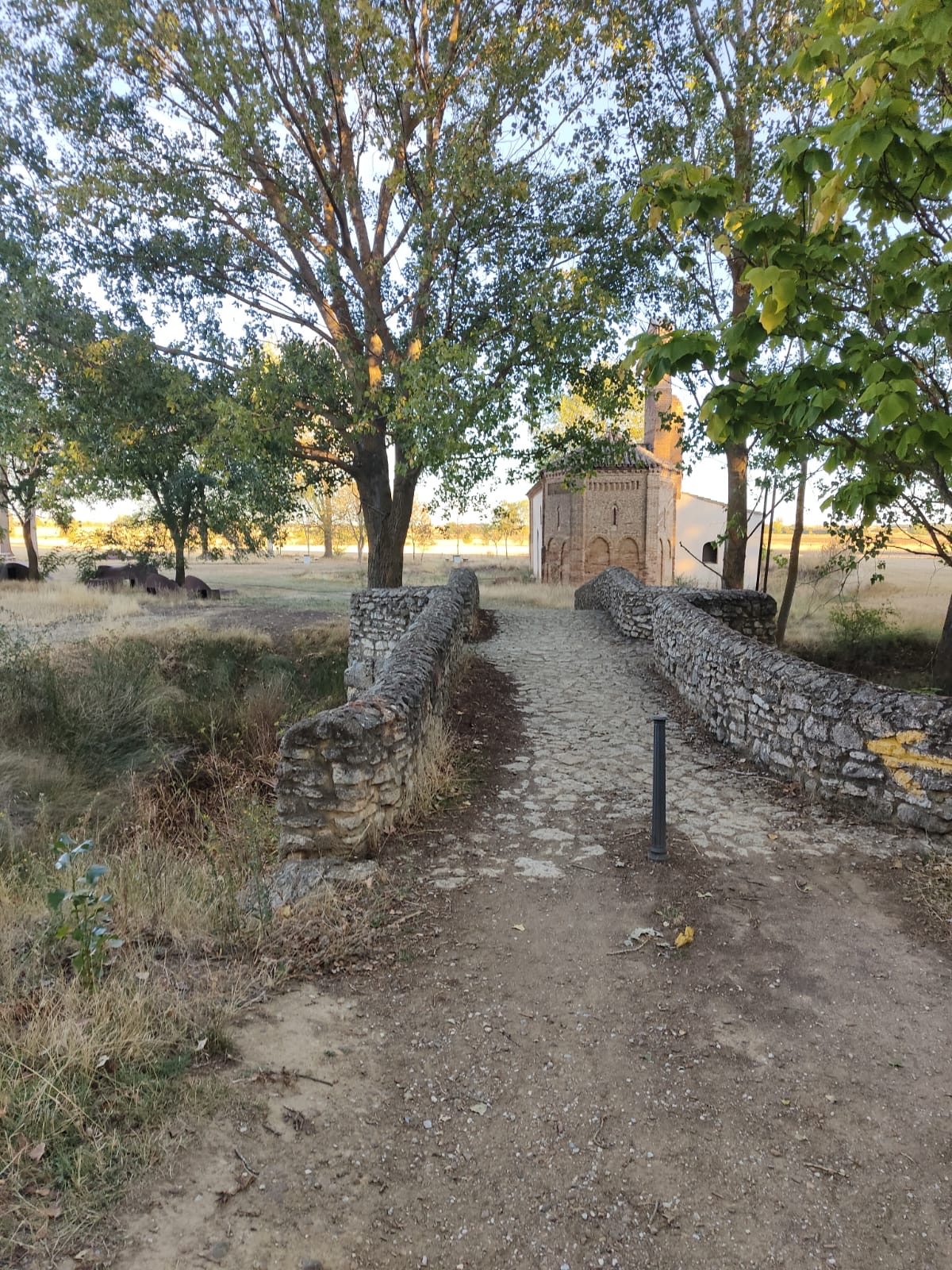 Día 18. De Terradillos de los Templarios a El Burgo Ranero.