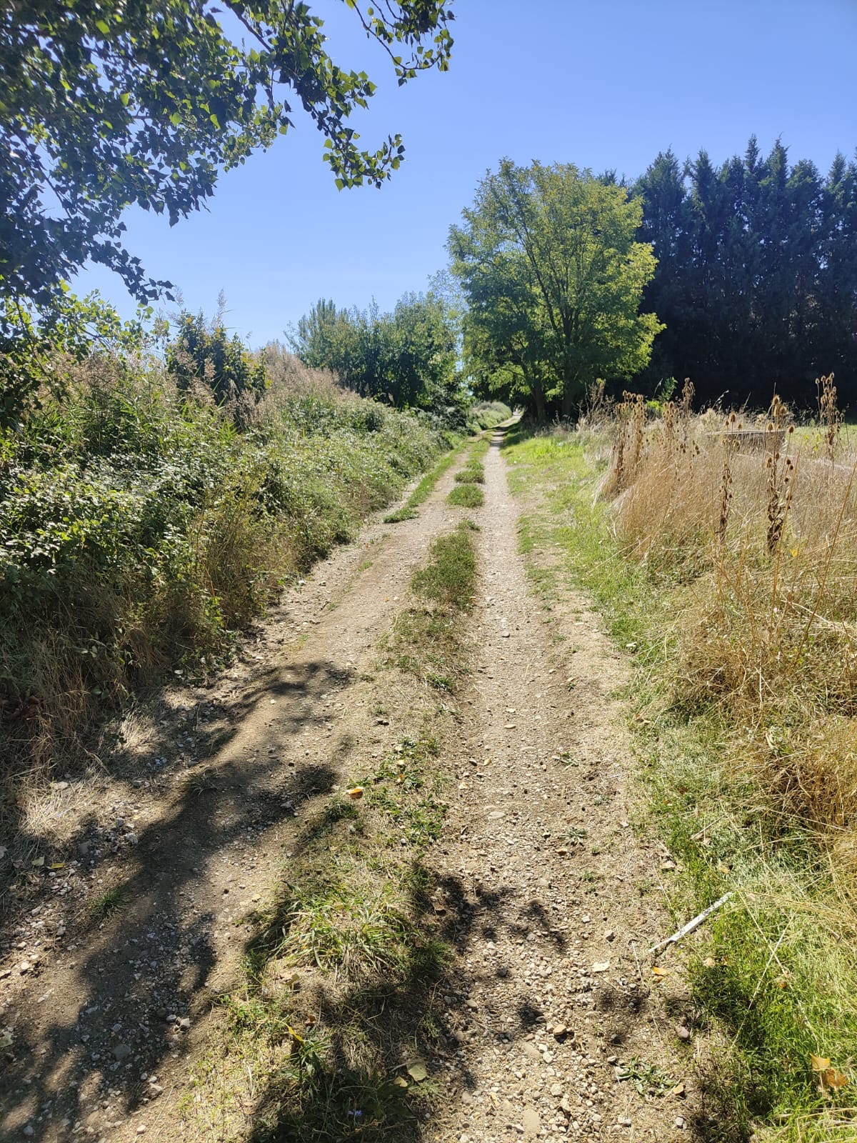 Día 19. Del Burgo Ranero a Puente Villaprende