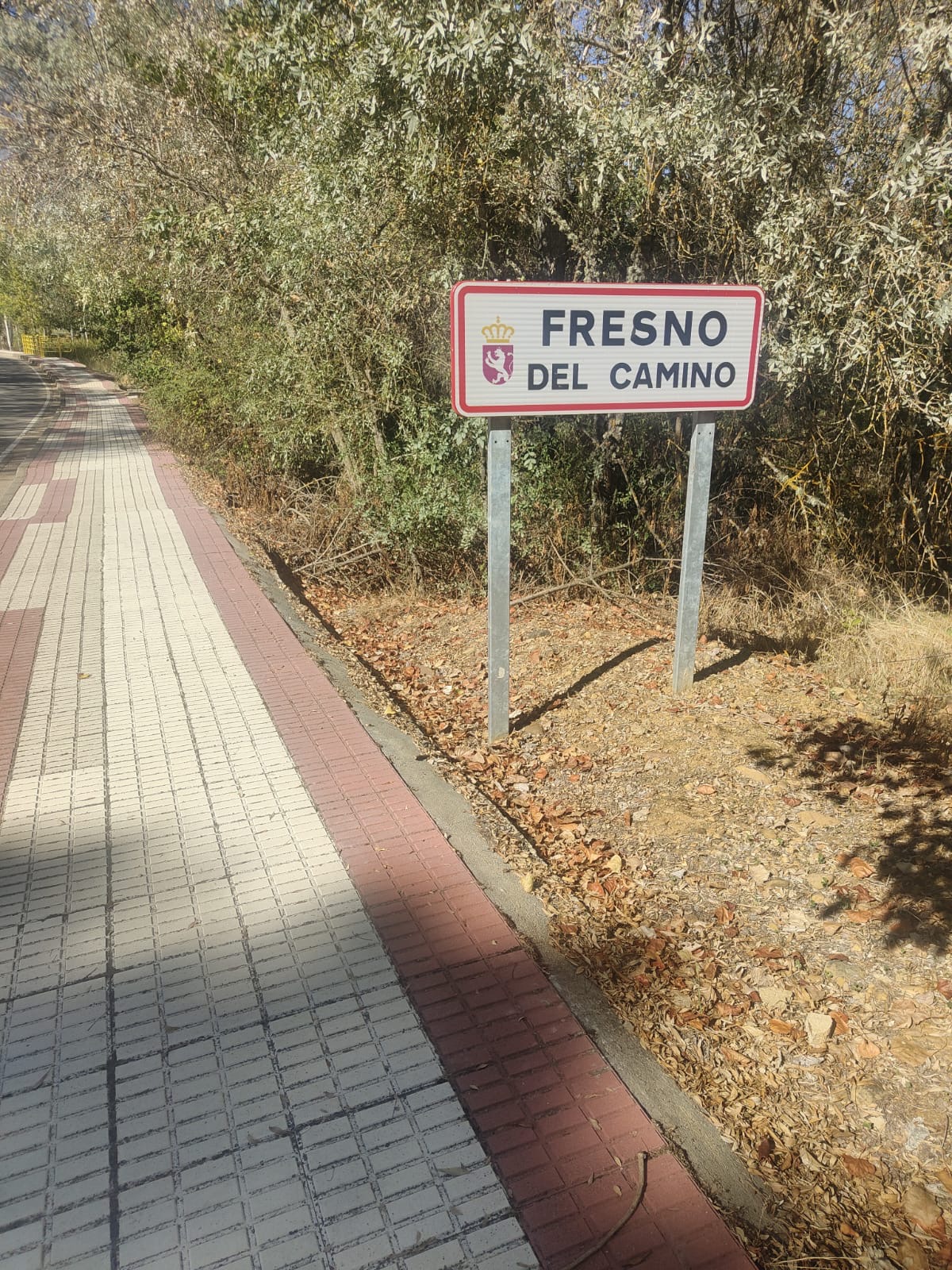 Día 20. De Puente de Villaprende a Villar de Mazarife.