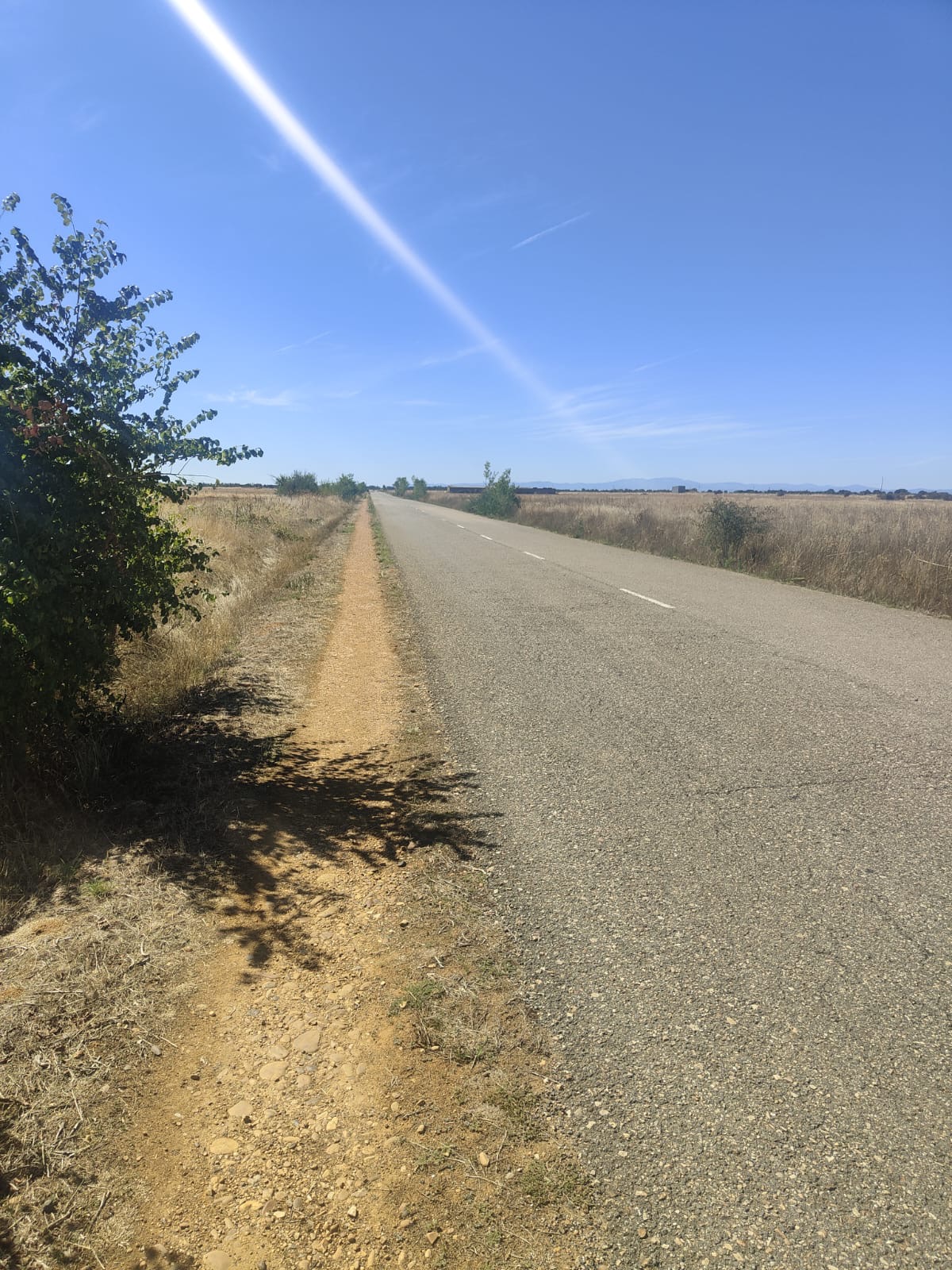 Día 20. De Puente de Villaprende a Villar de Mazarife.