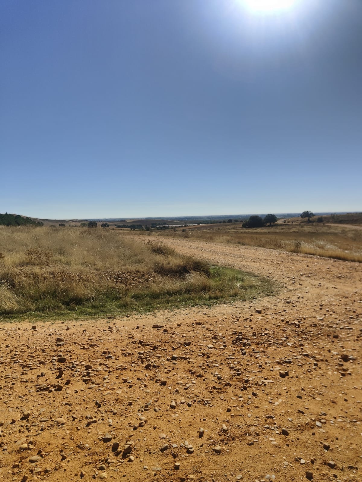 Día 21. De Villar de Mazarife a Astorga.