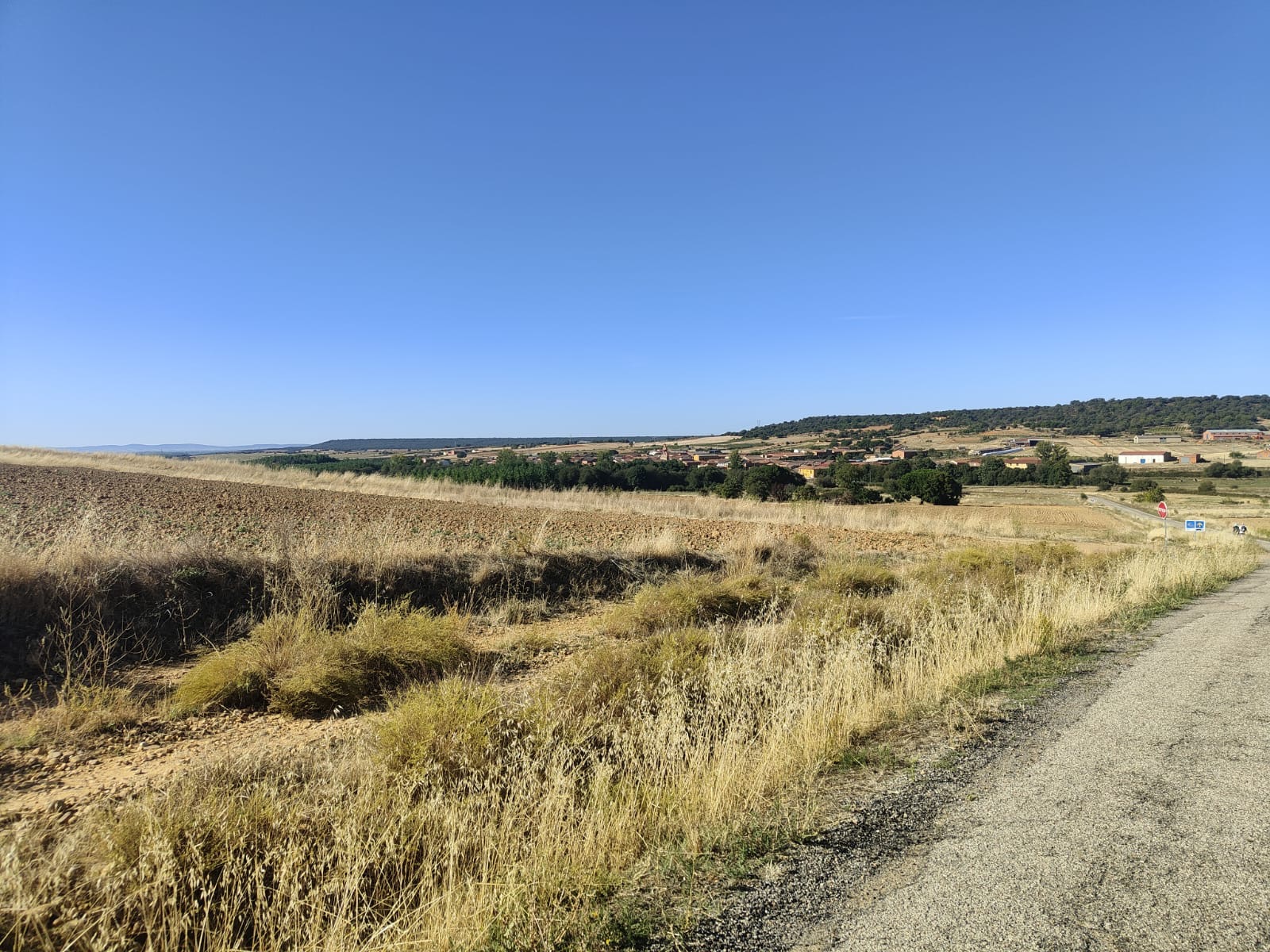 Día 21. De Villar de Mazarife a Astorga.