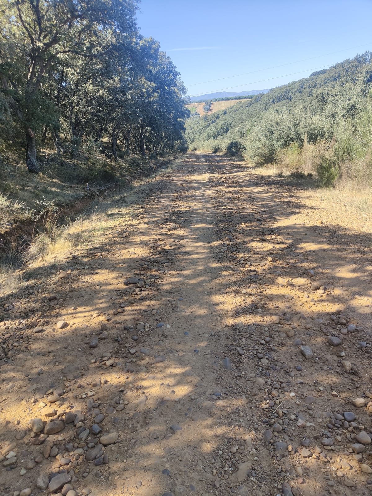 Día 21. De Villar de Mazarife a Astorga.