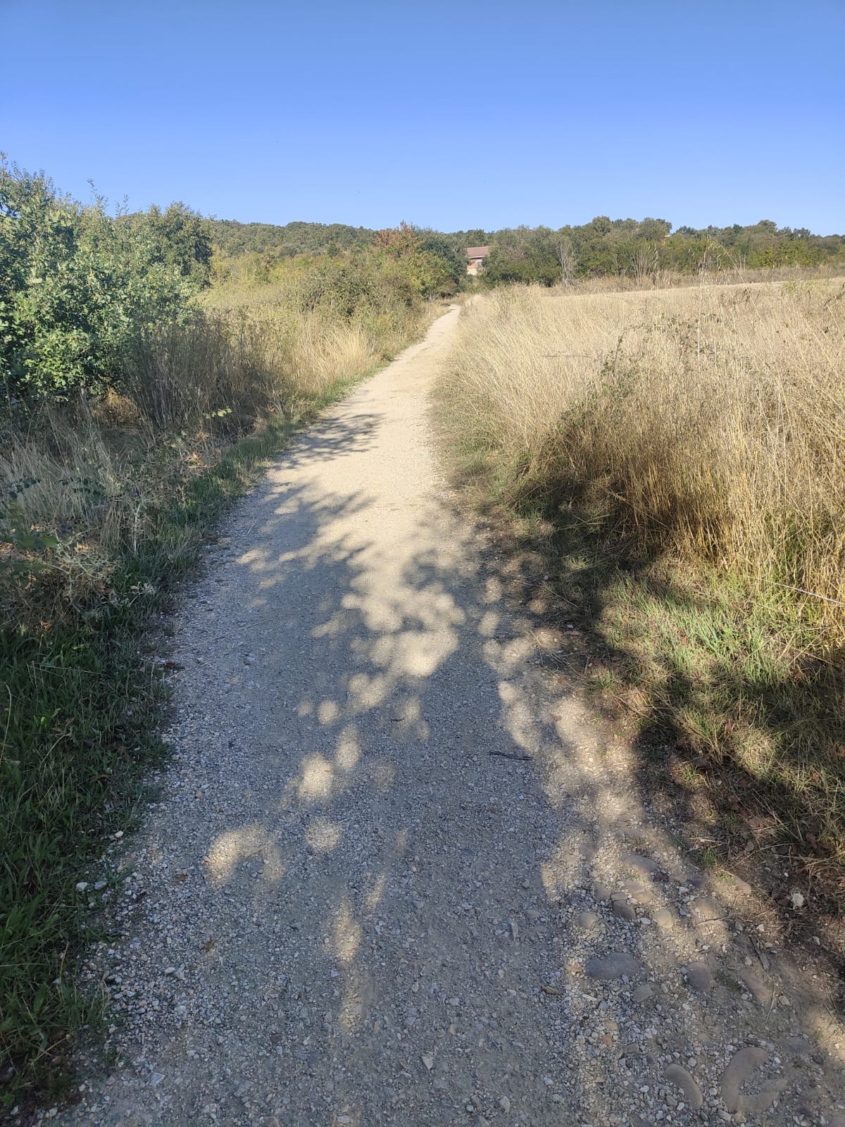 Día 21. De Villar de Mazarife a Astorga.