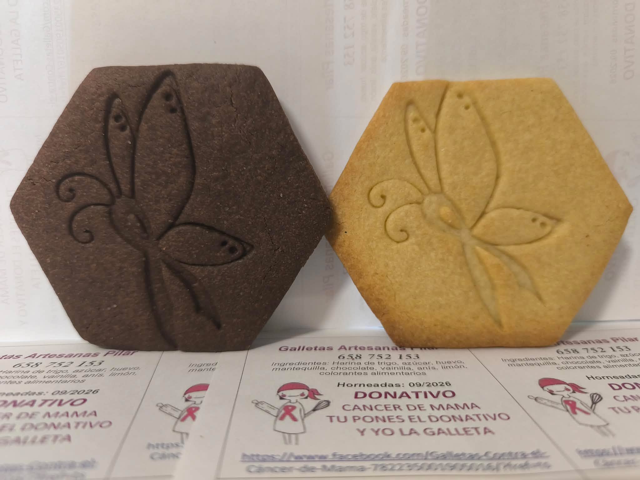 Desde Amurrio - Alava /Bilbao-Bizkaia / La Cavada - Cantabria